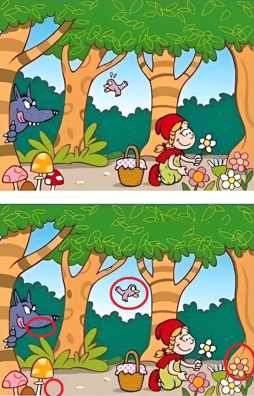 spot-the-difference-can-you-spot-4-differences-within-19-seconds